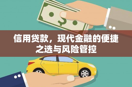 左镇信用贷款，现代金融的便捷之选与风险管控