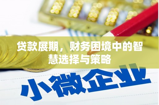 开阳贷款展期，财务困境中的智慧选择与策略