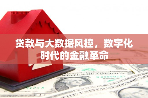 陆丰贷款与大数据风控，数字化时代的金融革命