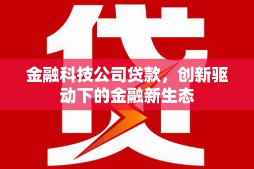 玛曲金融科技公司贷款，创新驱动下的金融新生态