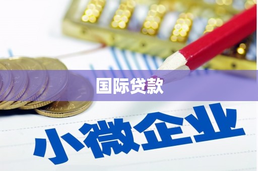 正安国际贷款