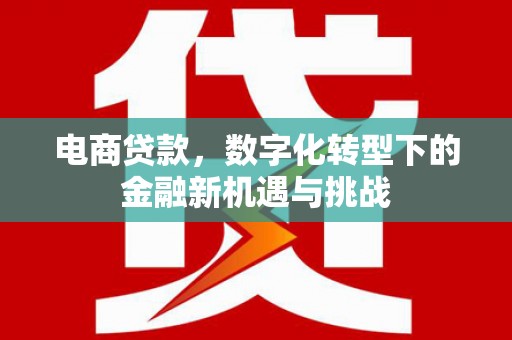 内湖电商贷款，数字化转型下的金融新机遇与挑战