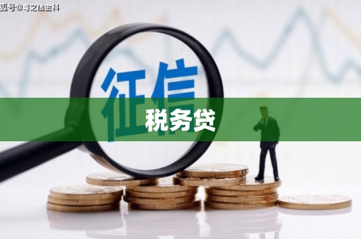 连云税务贷