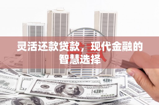 临渭灵活还款贷款，现代金融的智慧选择
