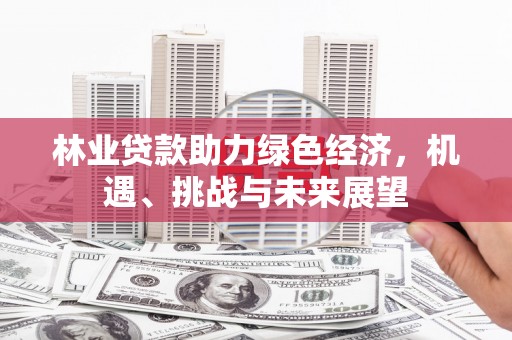 罗东林业贷款助力绿色经济，机遇、挑战与未来展望