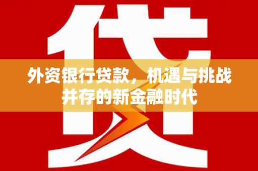 南宫外资银行贷款，机遇与挑战并存的新金融时代