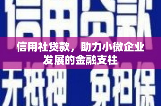 凤山信用社贷款，助力小微企业发展的金融支柱