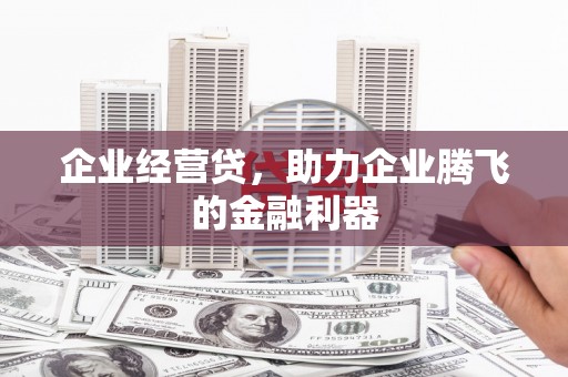 温宿企业经营贷，助力企业腾飞的金融利器