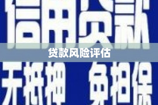 芦山贷款风险评估