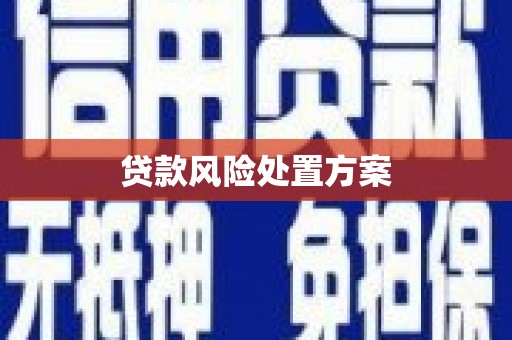 麦积贷款风险处置方案