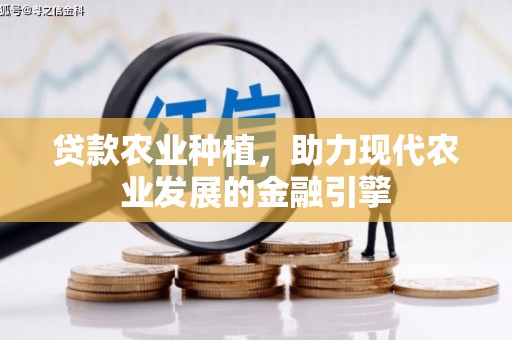 鹤庆贷款农业种植，助力现代农业发展的金融引擎