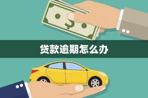 南溪贷款逾期怎么办