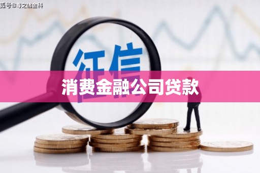 抚远消费金融公司贷款