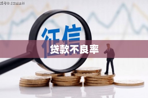 荥经贷款不良率