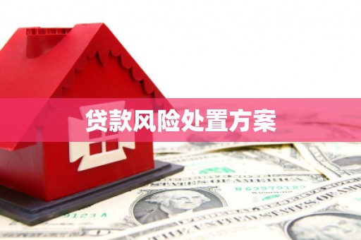 岭东贷款风险处置方案