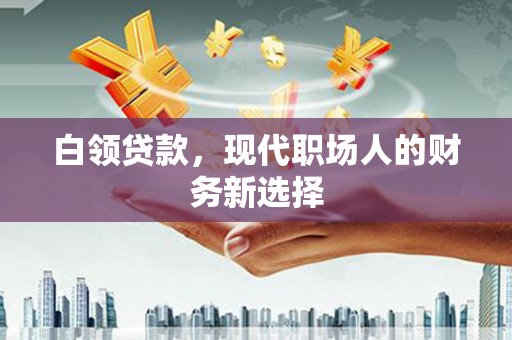 玉树白领贷款，现代职场人的财务新选择