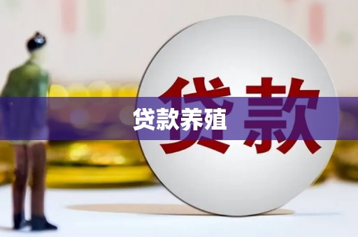 薛城贷款养殖