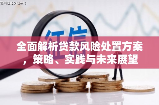 林芝全面解析贷款风险处置方案，策略、实践与未来展望