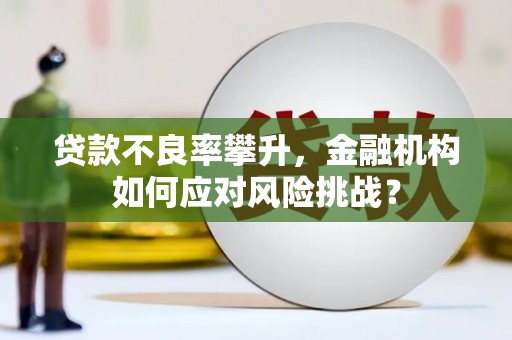 郁南贷款不良率攀升，金融机构如何应对风险挑战？