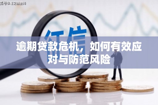 温岭逾期贷款危机，如何有效应对与防范风险