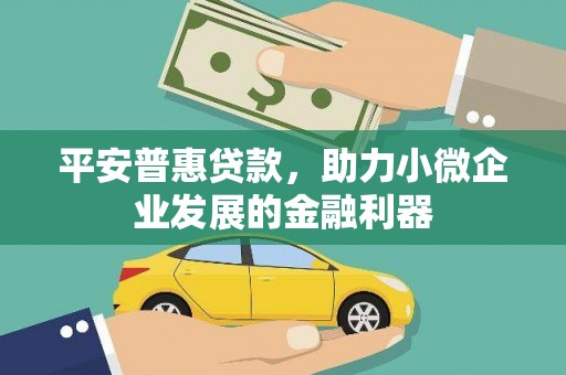 林甸平安普惠贷款，助力小微企业发展的金融利器