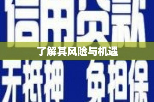 抚远了解其风险与机遇