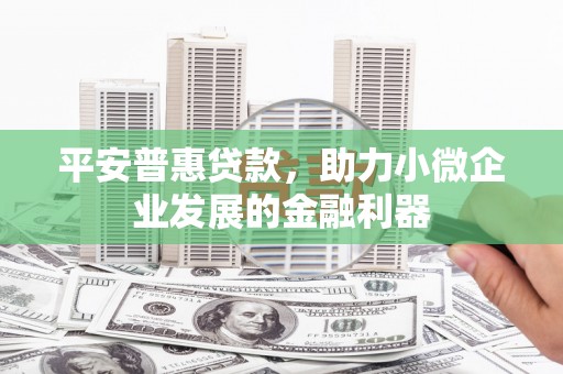 仙游平安普惠贷款，助力小微企业发展的金融利器