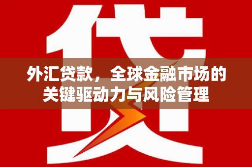 海拉尔外汇贷款，全球金融市场的关键驱动力与风险管理