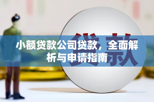 临夏小额贷款公司贷款，全面解析与申请指南