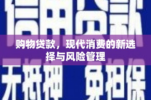 乐东购物贷款，现代消费的新选择与风险管理