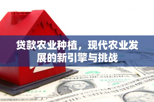 叙永贷款农业种植，现代农业发展的新引擎与挑战
