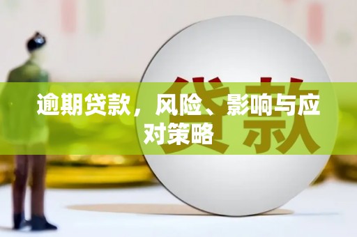 桐城逾期贷款，风险、影响与应对策略