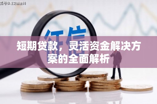 嘉祥短期贷款，灵活资金解决方案的全面解析