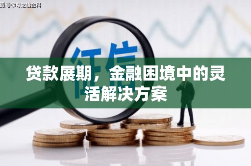 资中贷款展期，金融困境中的灵活解决方案