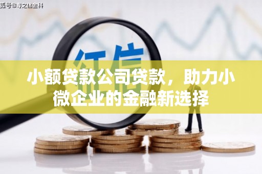 北关小额贷款公司贷款，助力小微企业的金融新选择