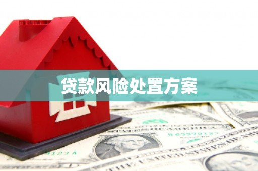 阿里山贷款风险处置方案