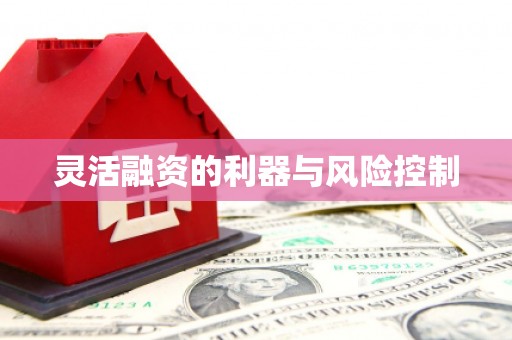 郴州灵活融资的利器与风险控制