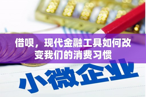 杜集借呗，现代金融工具如何改变我们的消费习惯