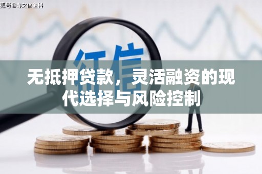 涞水无抵押贷款，灵活融资的现代选择与风险控制