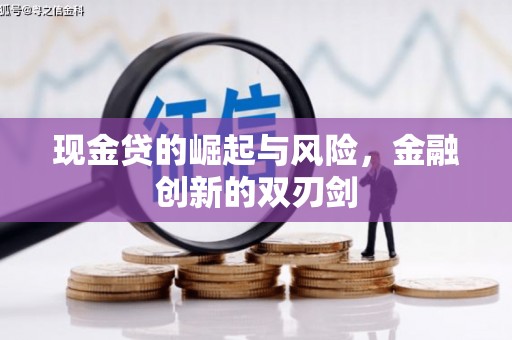 辰溪现金贷的崛起与风险，金融创新的双刃剑