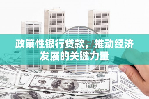 津市政策性银行贷款，推动经济发展的关键力量