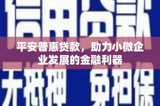 岱山平安普惠贷款，助力小微企业发展的金融利器