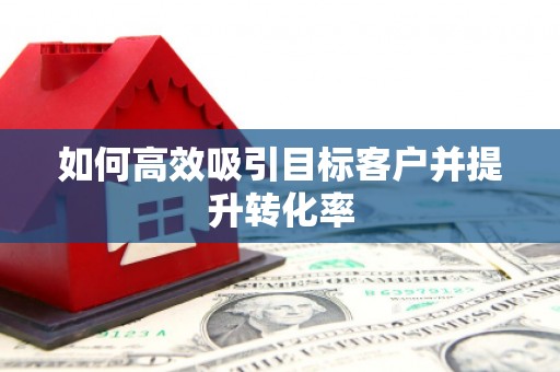白沙如何高效吸引目标客户并提升转化率