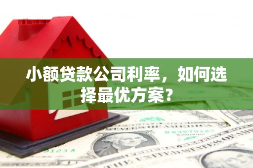 竹崎小额贷款公司利率，如何选择最优方案？