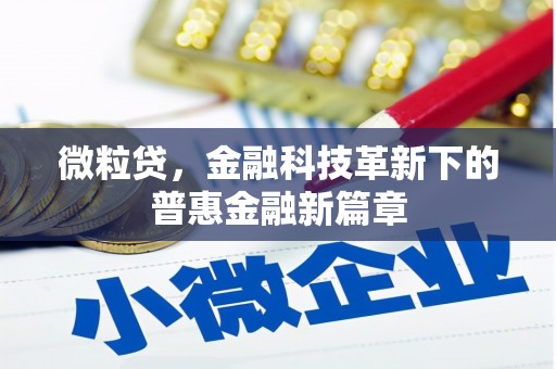 银川微粒贷，金融科技革新下的普惠金融新篇章
