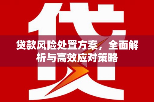 瑞金贷款风险处置方案，全面解析与高效应对策略