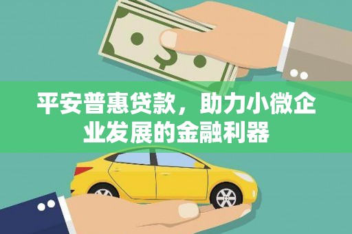 吴忠平安普惠贷款，助力小微企业发展的金融利器