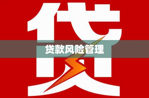 巫溪贷款风险管理