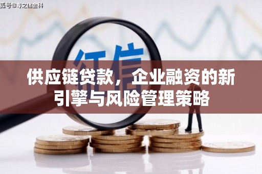 海港供应链贷款，企业融资的新引擎与风险管理策略