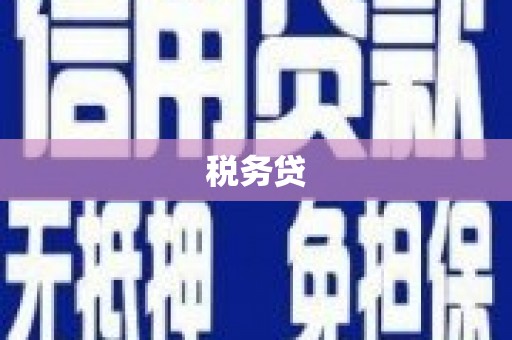 下城税务贷